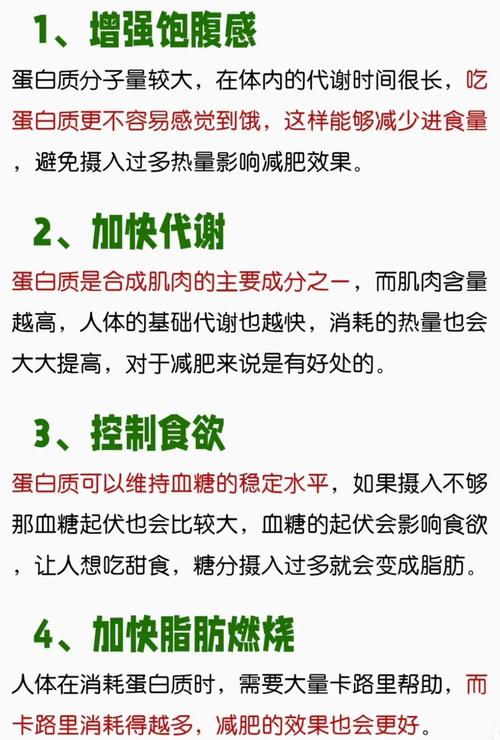 减肥 为什么要高蛋白
