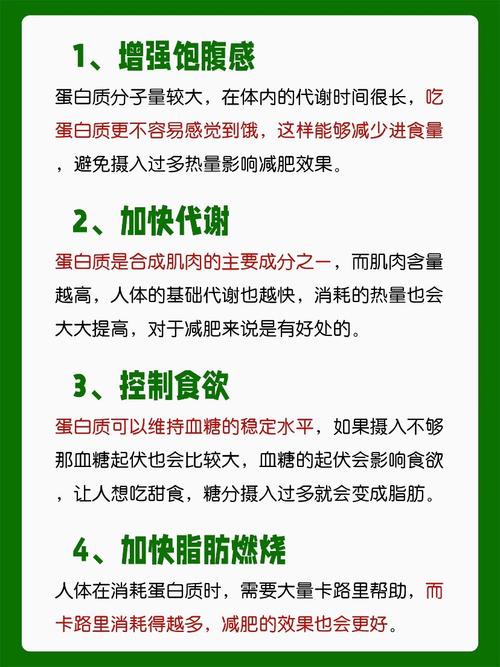 减肥 为什么要吃高蛋白