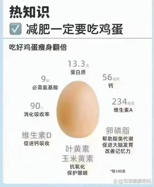 减肥 为什么要吃蛋白质