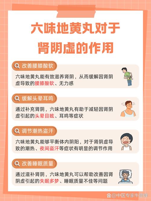 肾虚火旺吃什么药