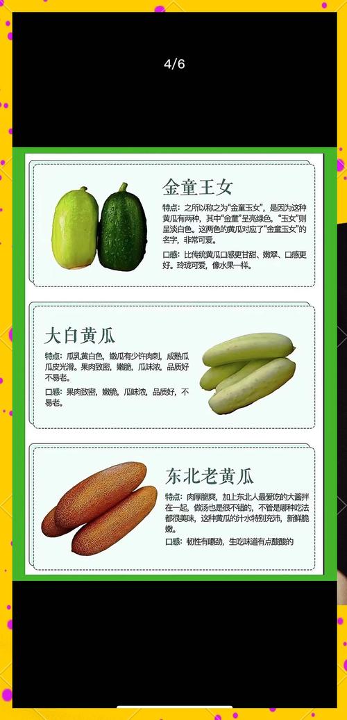 黄瓜和什么吃能减肥吗