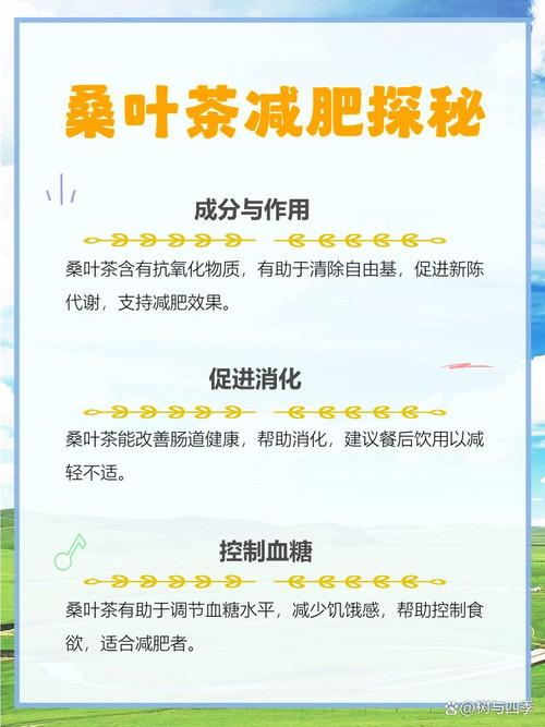 喝什么茶喝能减肥吗