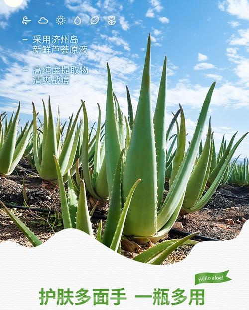 得鲜芦荟胶最新包装