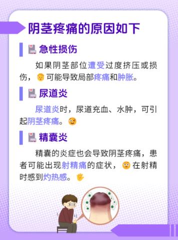 龟头痛什么原因