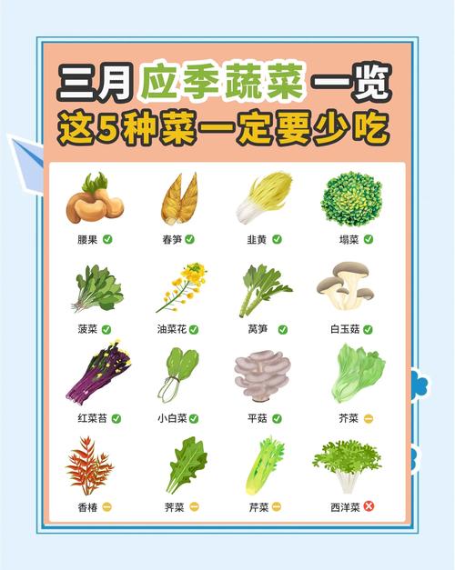 吃什么蔬菜有利于减肥吗