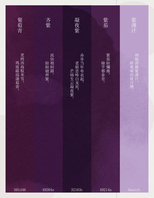 紫色属于什么色系