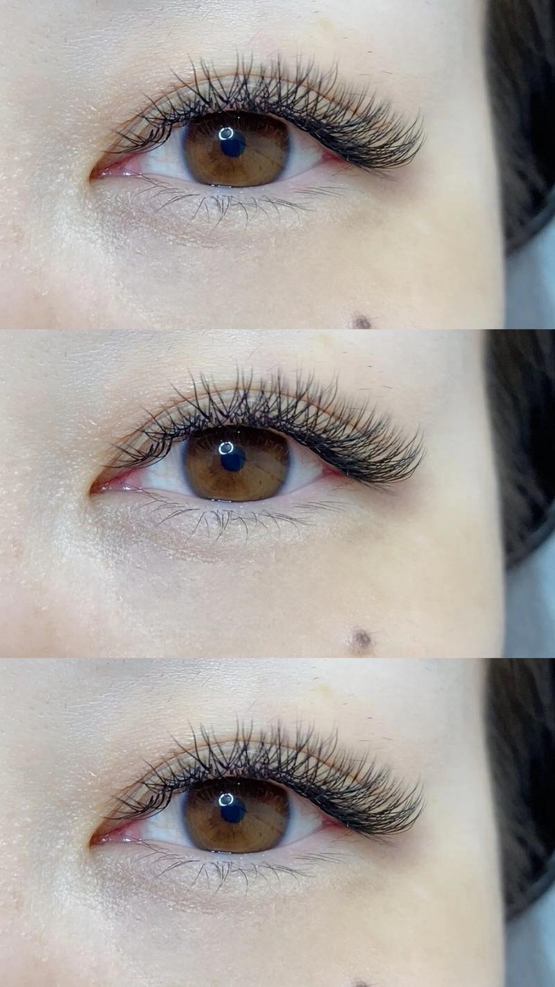 最新睫毛技术优美浓睫