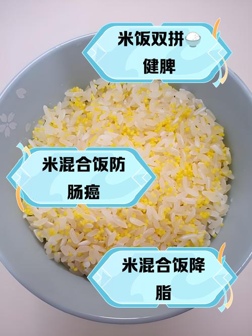 吃什么米能减肥吗