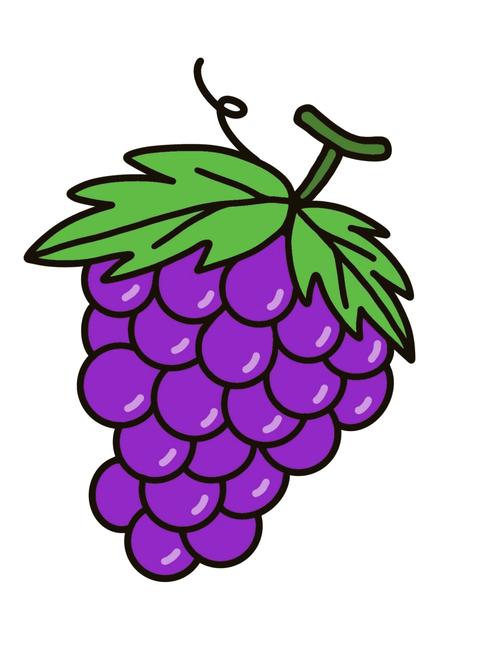 紫紫的葡萄像什么