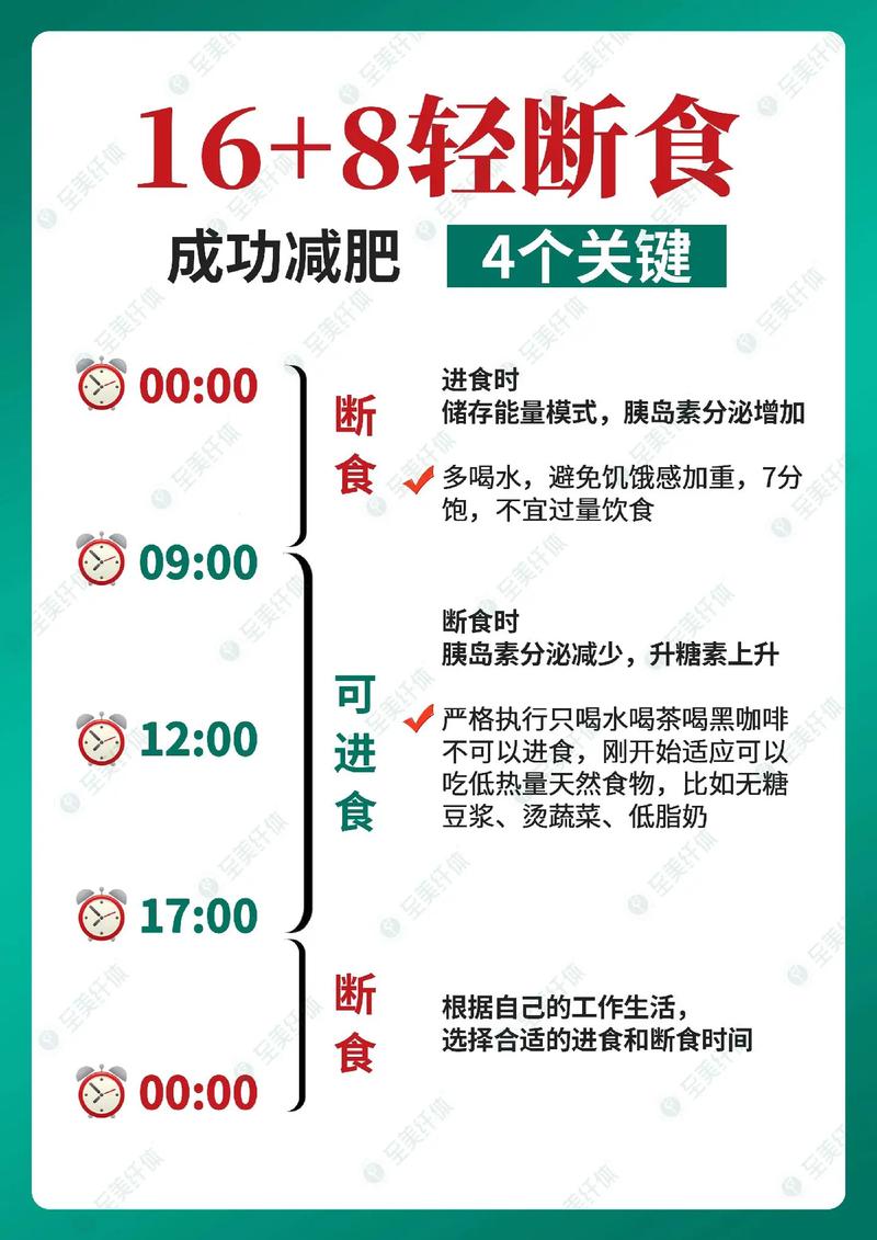 轻断食减肥方法是什么意思