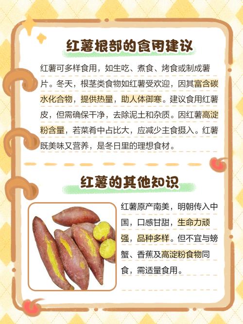 吃红薯是减肥吗吃什么东西长胖呢