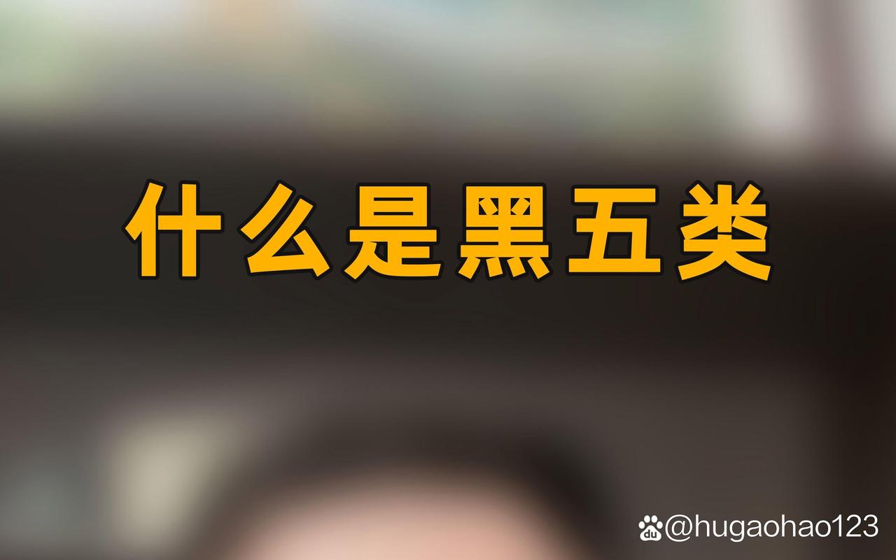 黑5类是什么