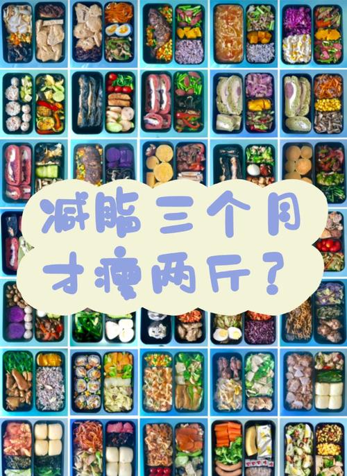 到饭店减肥餐点什么