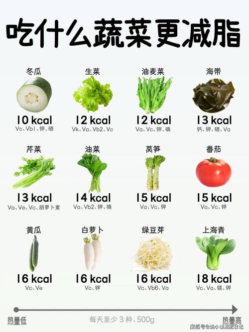 减肥吃什么菜维生素高