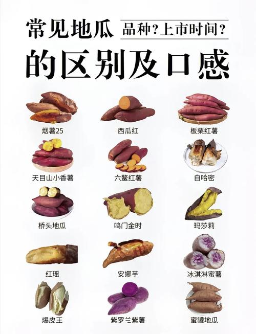 红薯是甜的为什么会减肥