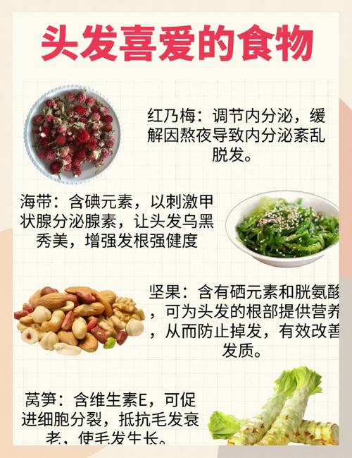 为什么光掉头发