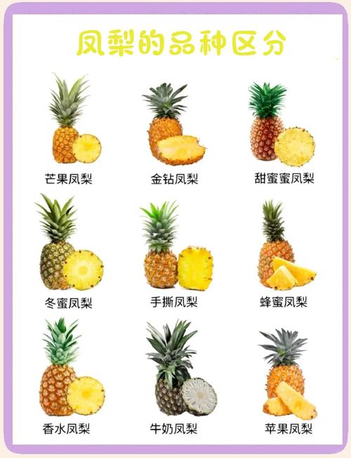 吃凤梨有什么好处