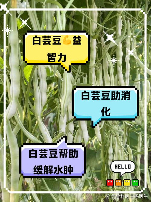 吃芸豆有什么好处