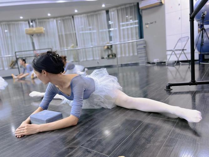 什么舞蹈可以减肥还优美