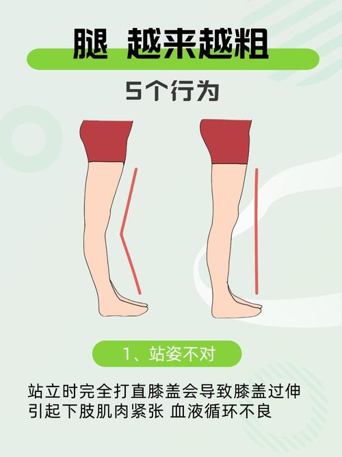 小腿为什么那么粗