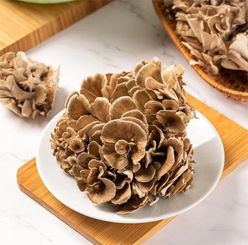 减肥可以吃什么蘑菇