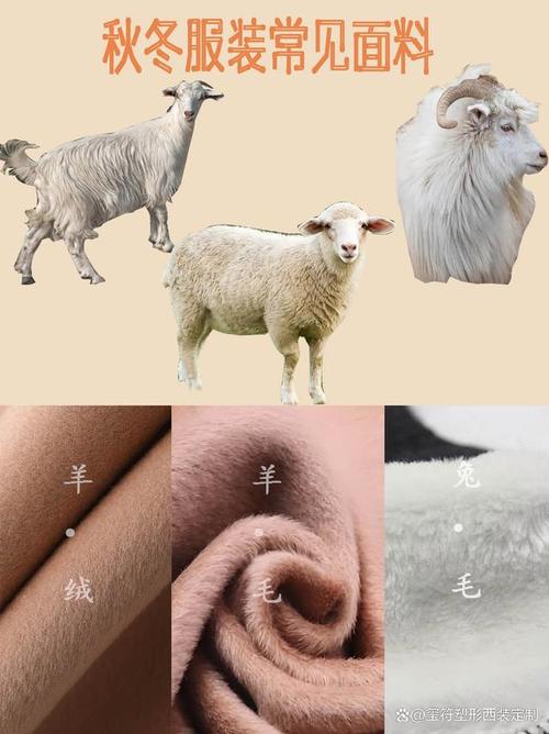 什么是羊羔毛