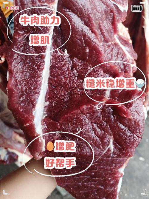 吃什么手臂长肉