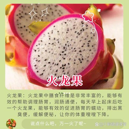 吃什么排宿便快