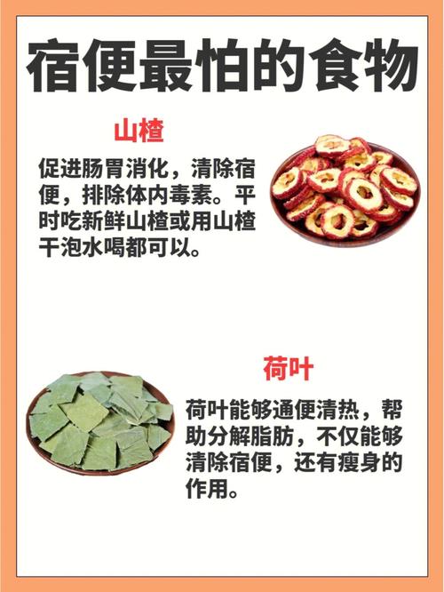 吃什么排宿便快