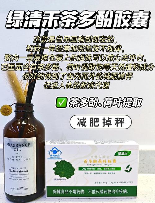 用什么减肥药不会反弹