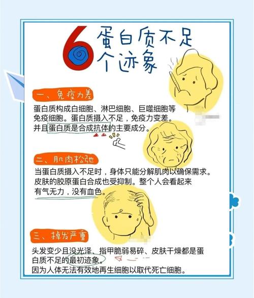 蛋白质起什么作用