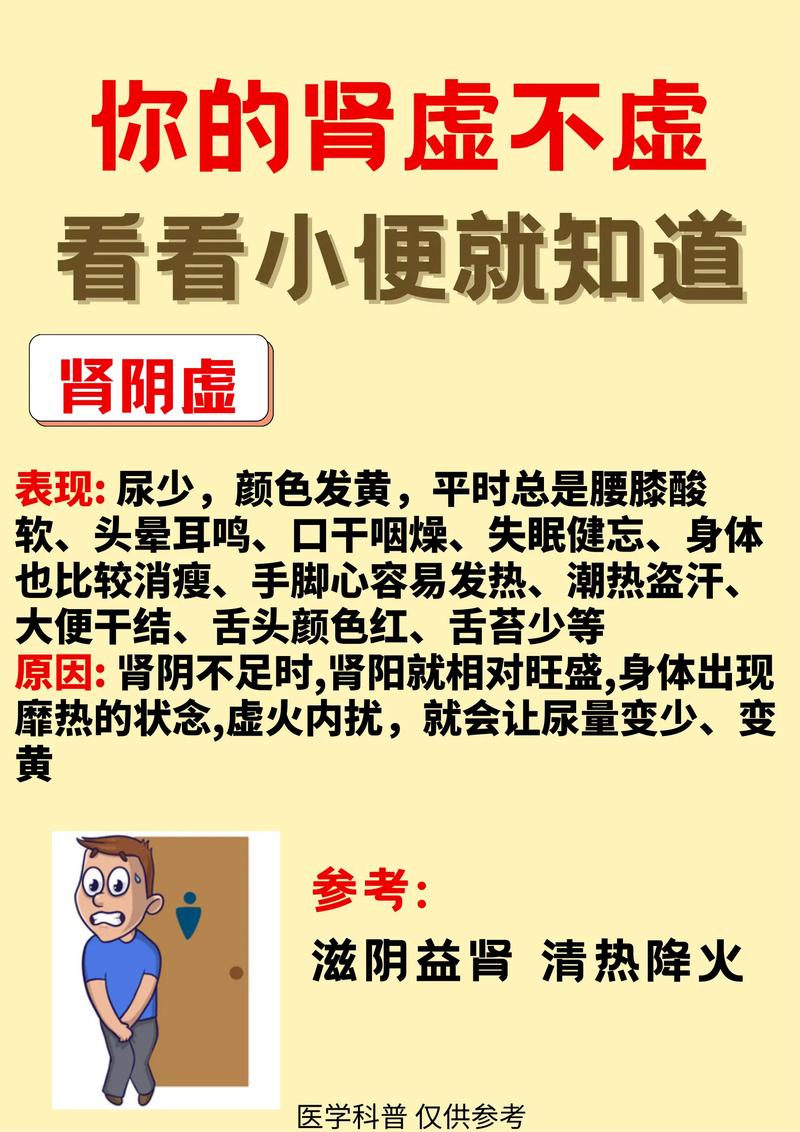 肾虚是什么造成的