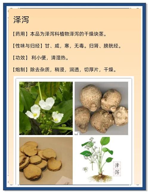 泄药和减肥药有什么作用