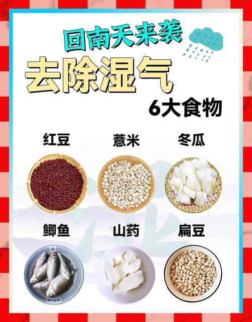 湿气重胖的人吃什么能减肥