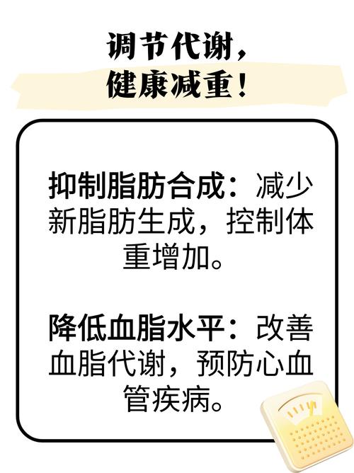 什么减肥药减少食欲