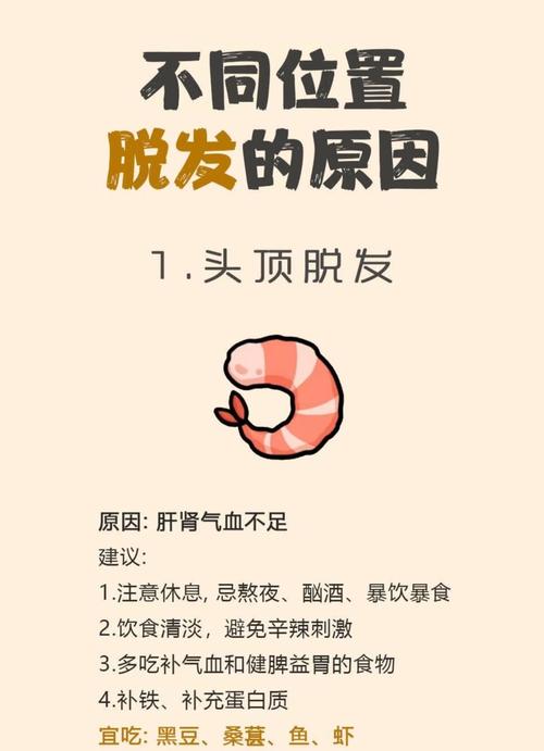 头顶掉头发什么原因