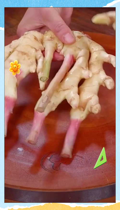 姜泡醋用什么姜