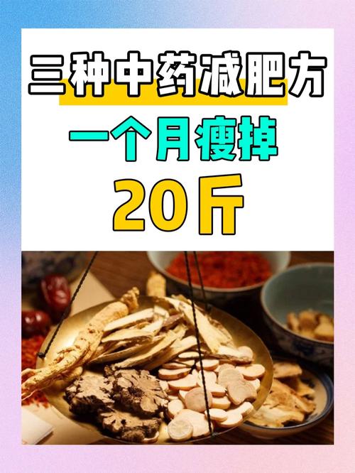 用什么中药方子减肥效果最佳