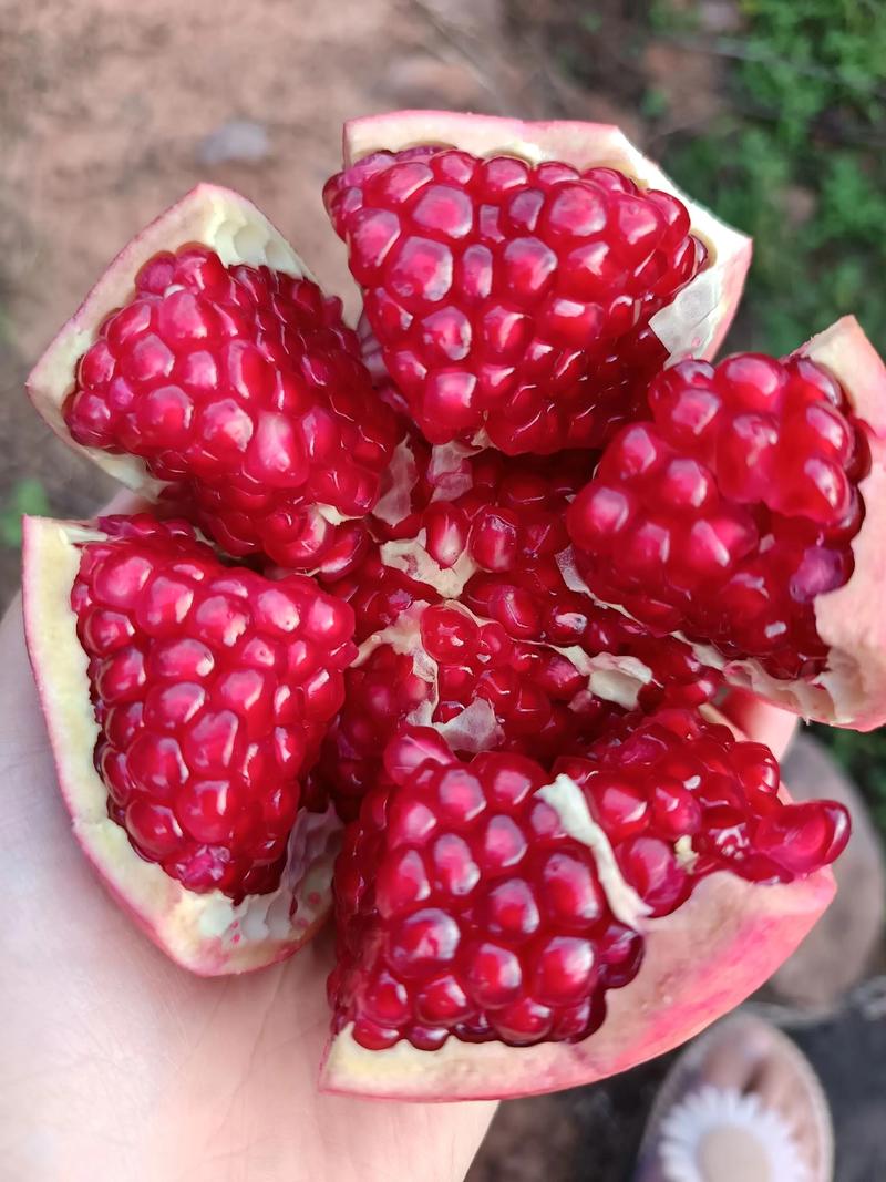 石榴很新鲜最新地址