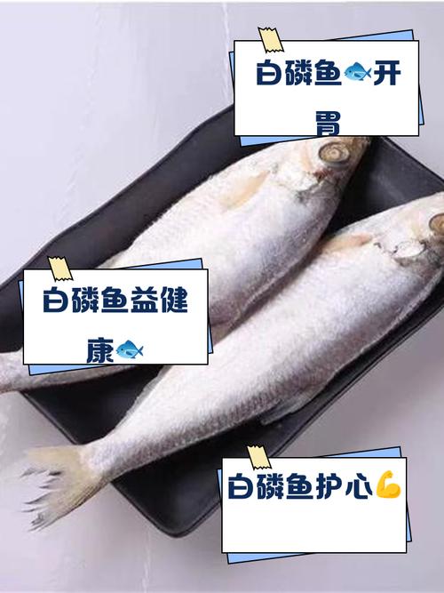 鱼鳞有什么营养