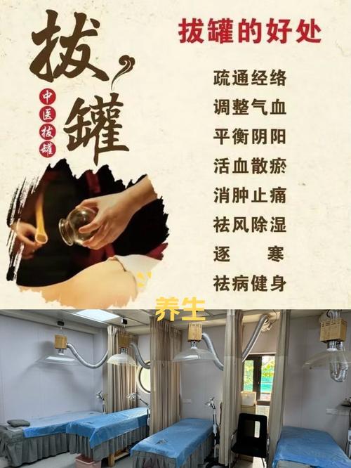 拔罐减肥是用什么药