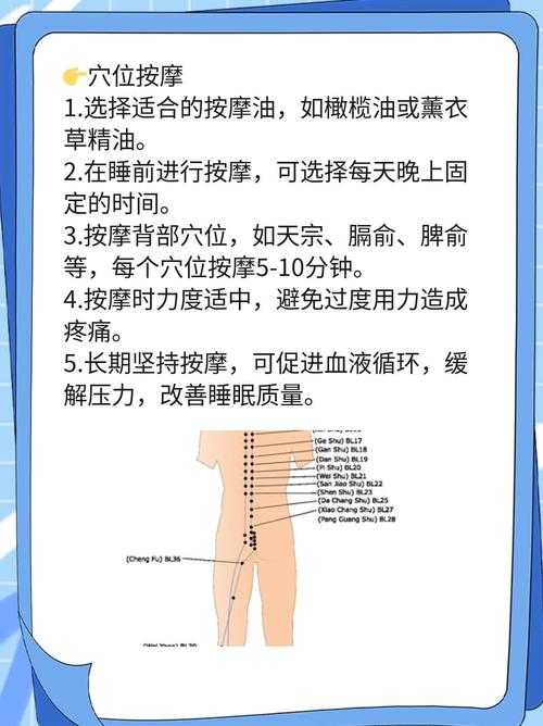 拔罐减肥都什么部位