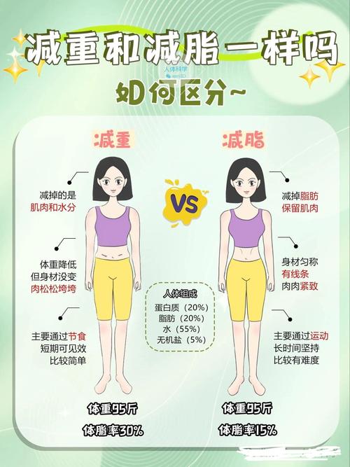 什么是自体细胞减肥