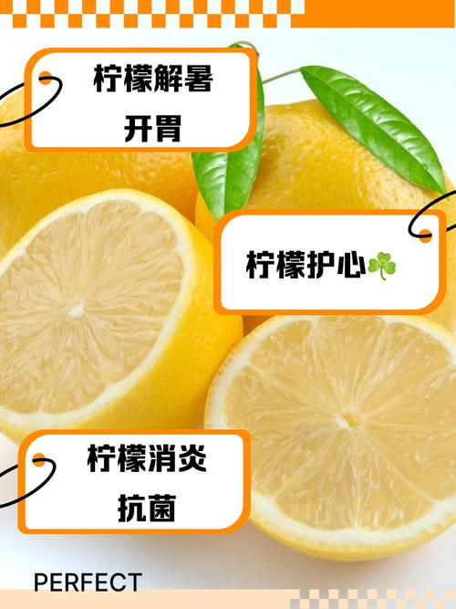 柠檬为什么会减肥