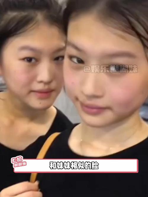 妹妹的脸像什么