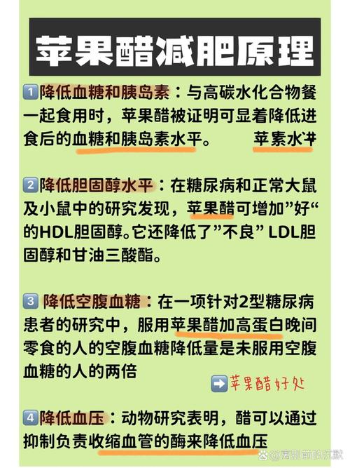 用醋减肥是什么醋