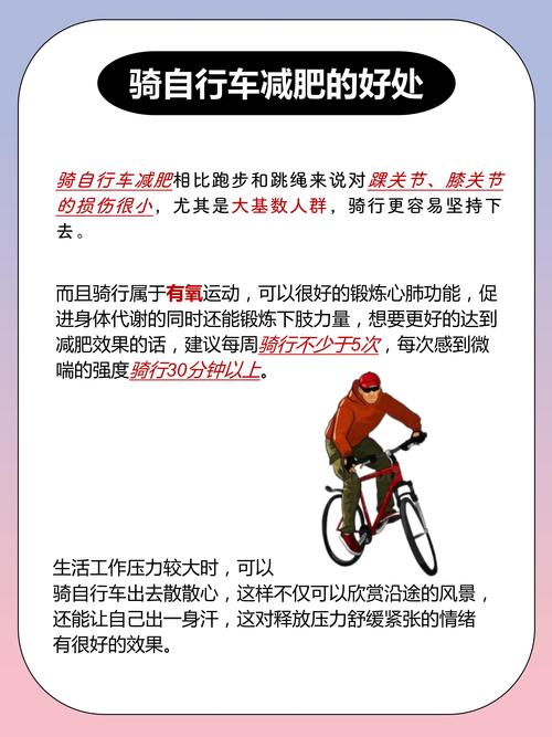 什么自行车减肥好