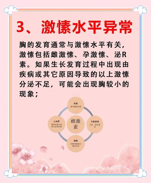 胸小的原因是什么