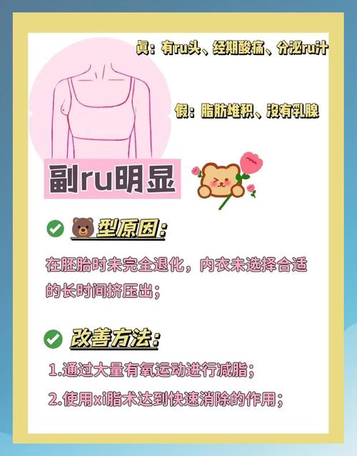 胸小的原因是什么