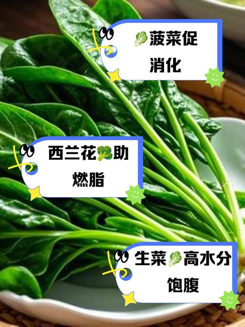 什么青菜减肥效果最好